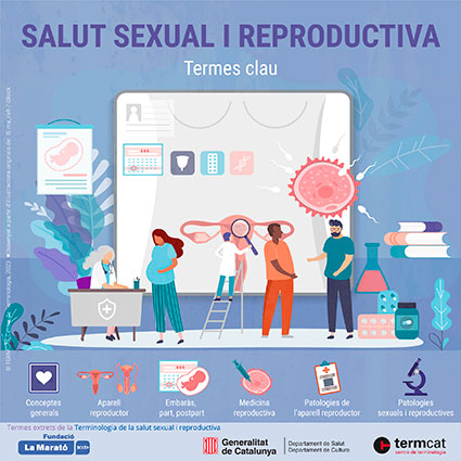 Salut Sexual i reproductiva. Termes clau