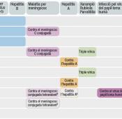 Calendari de vacunacions