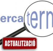 cercaterm