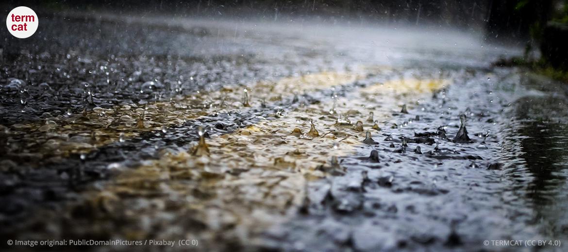 © TERMCAT (CC BY-4.0) imatge de pluja