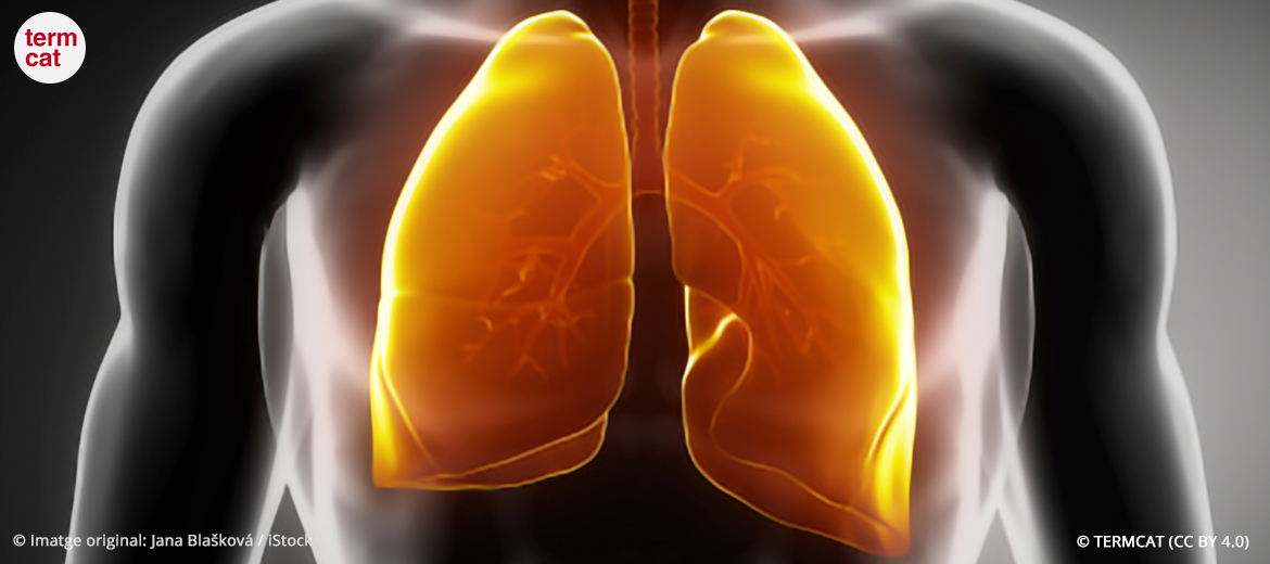 © iStockphoto / Jana Blašková