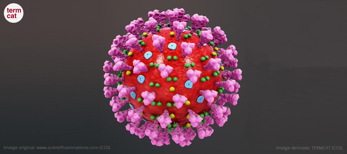 imatge del virus
