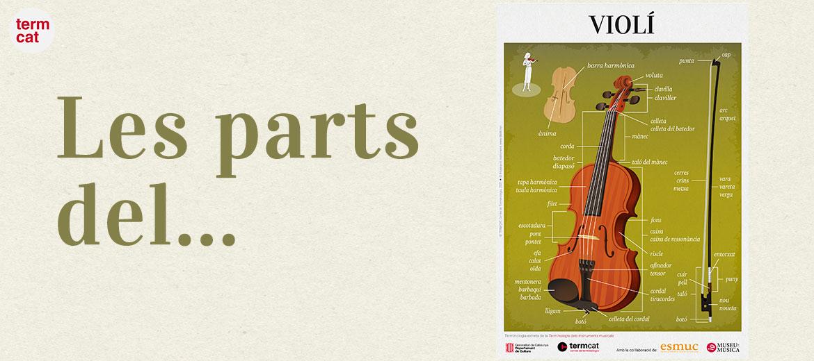 © TERMCAT (CC-BY 4.0) imatge de la infografia