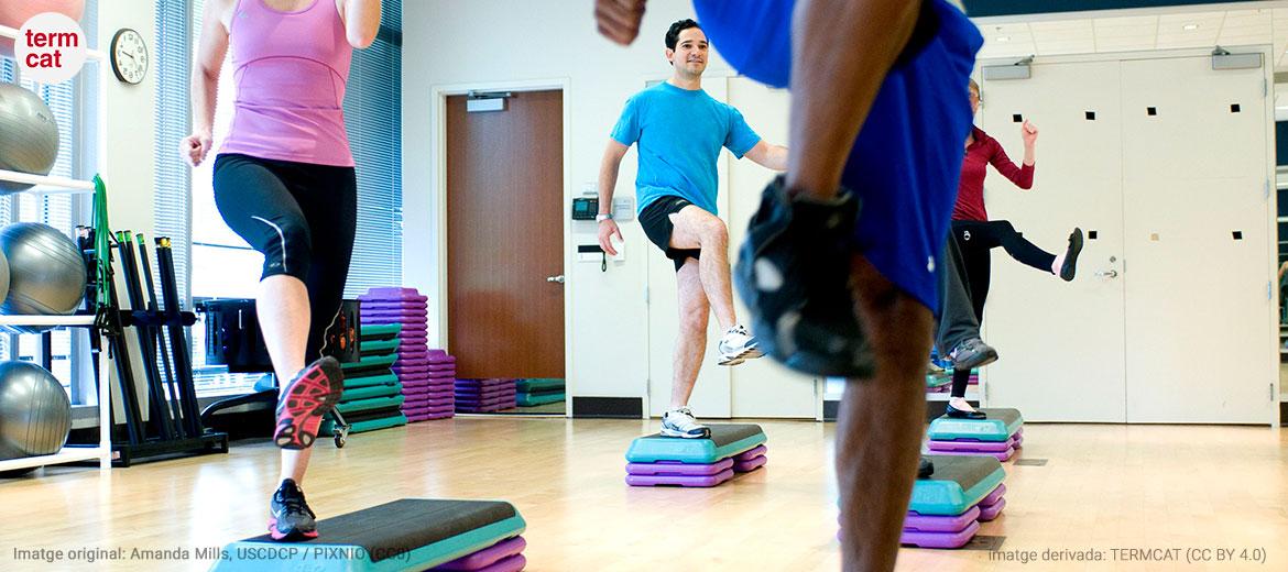 Exercicis de gimnàs