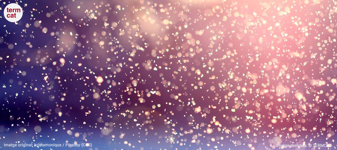 Imatge d'uns flocs de neu