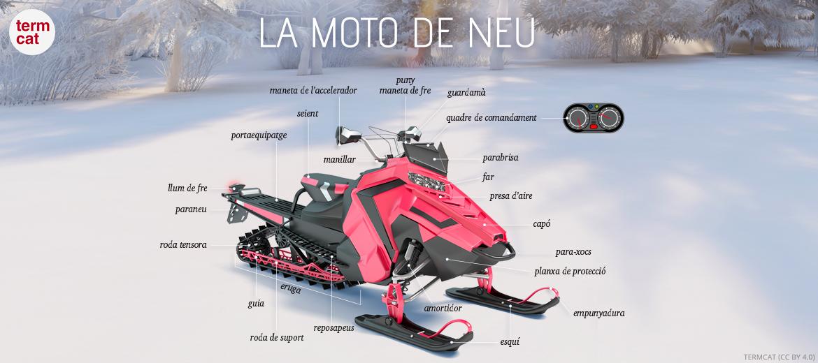 imatge de la infografia