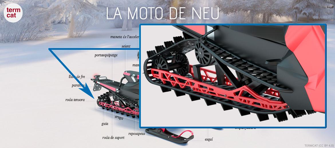 imatge de la infografia