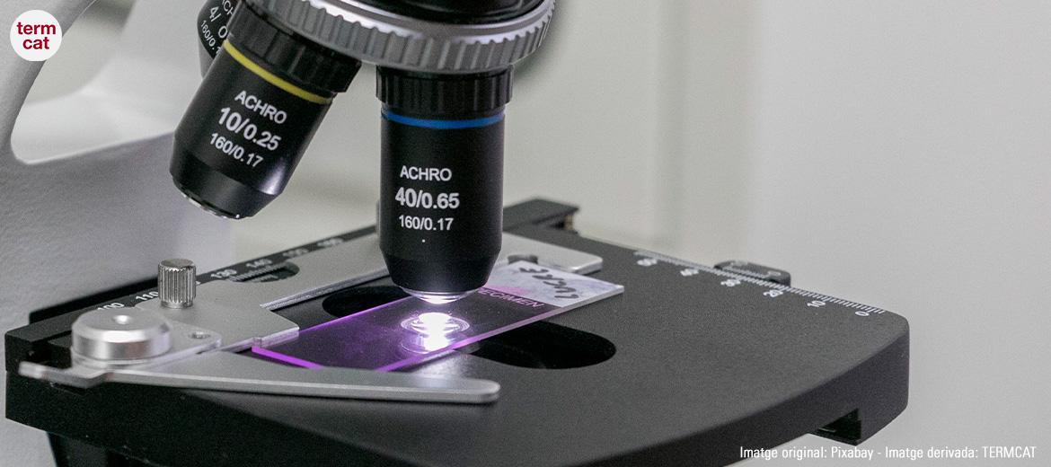 imatge d'un microscopi
