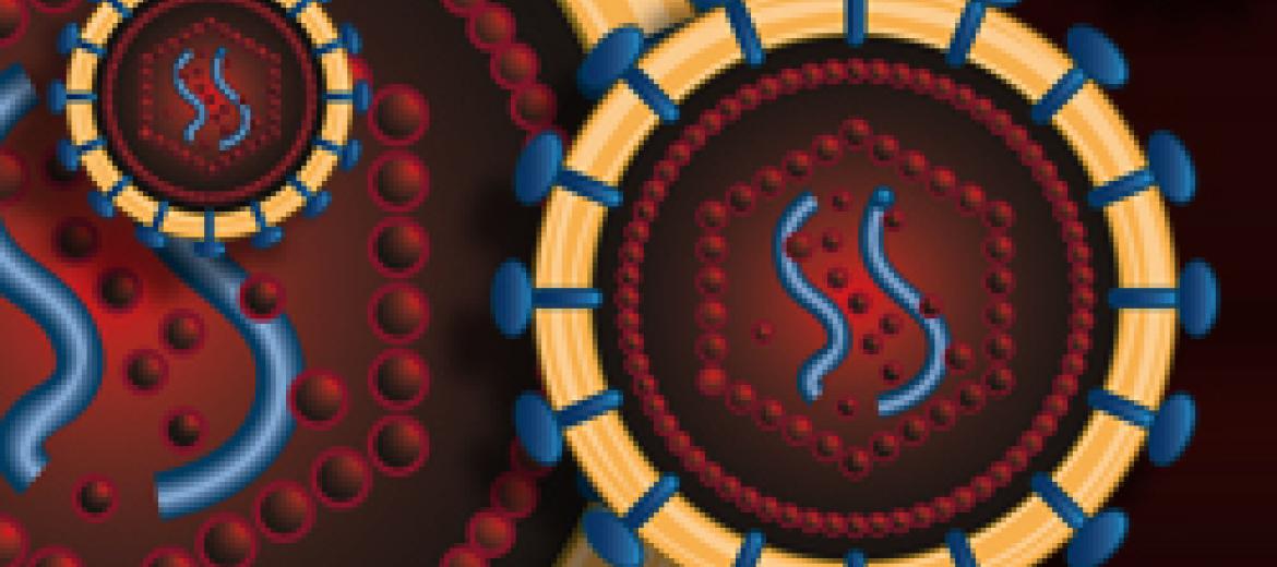 © Imatge del virus cedida per Elsevier