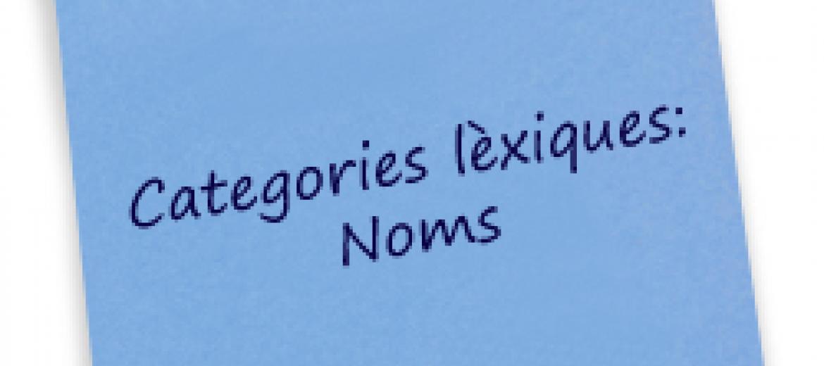 Criteris terminològics