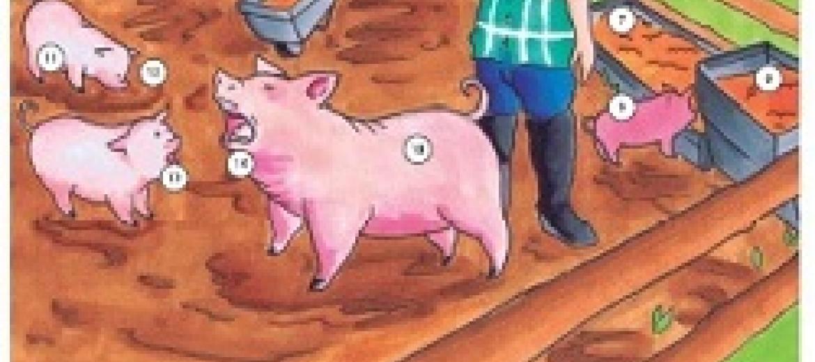 Del porc, fins la cua és bona