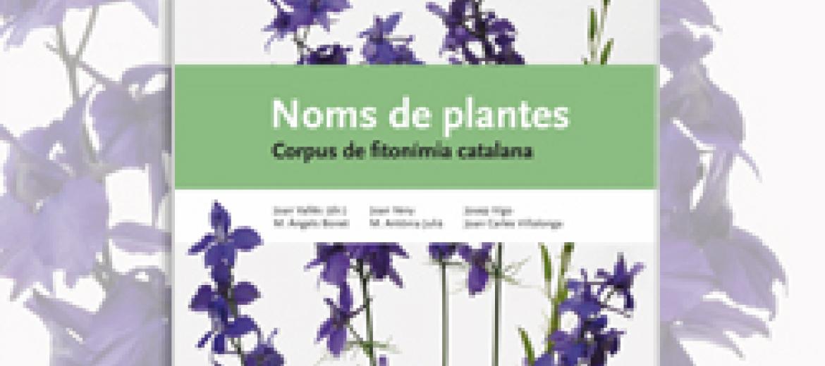Noms de plantes